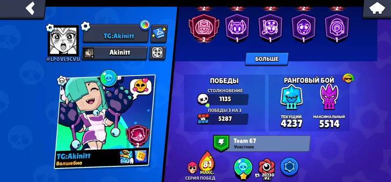 Brawl Stars akkaunti 6