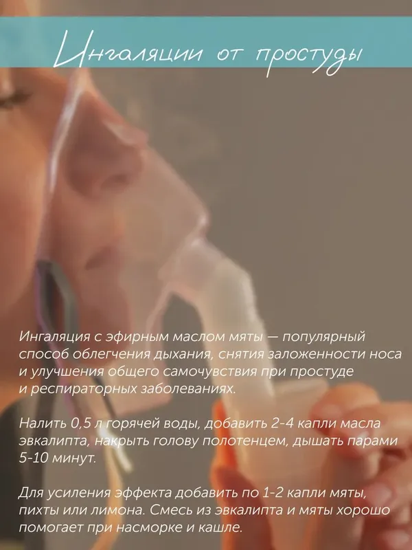 Yalpiz efir moyi 6 Yalpiz efir moyi 6