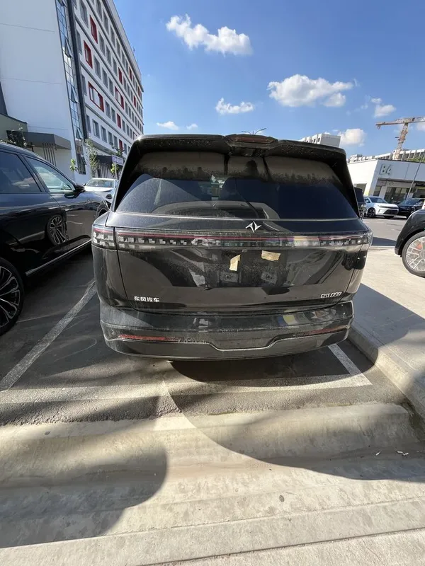 Dongfeng 008 — фото 2