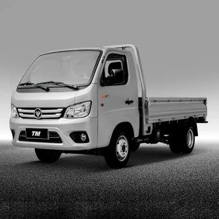 Foton truck mat 2