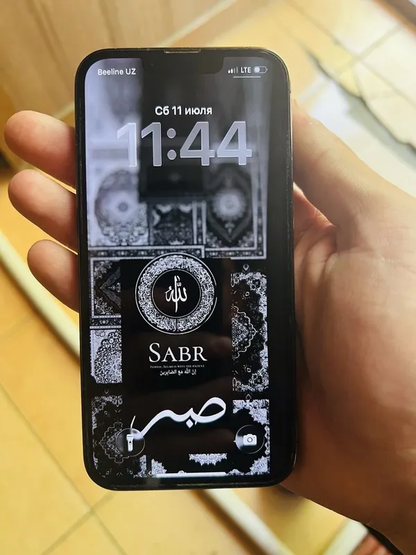Iphone 13 pro kichkima holi bor 8