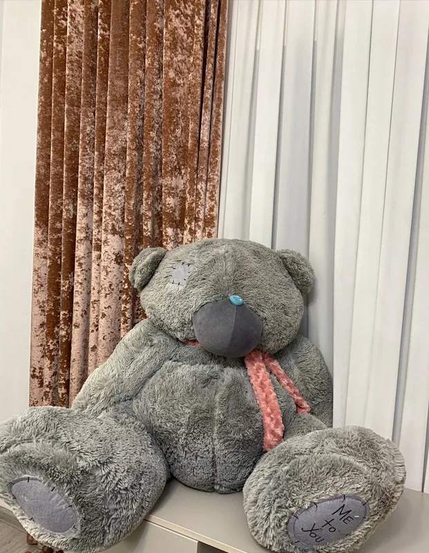 Teddy ayiqchasi 2 Teddy ayiqchasi 2
