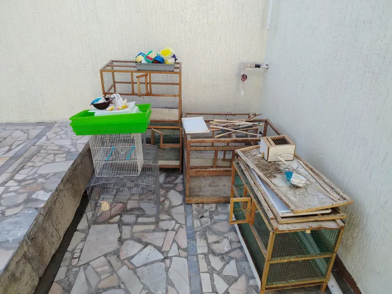kanareyka qafaslari sotiladi 1 kanareyka qafaslari sotiladi 1