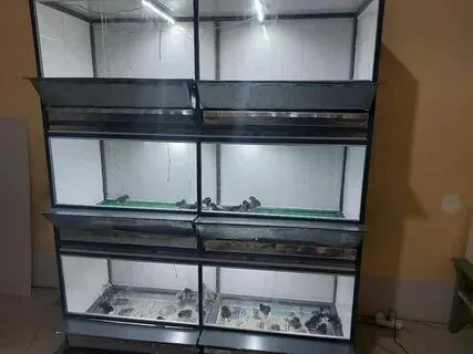 Jujalar uchun bruder katak yasaymiz