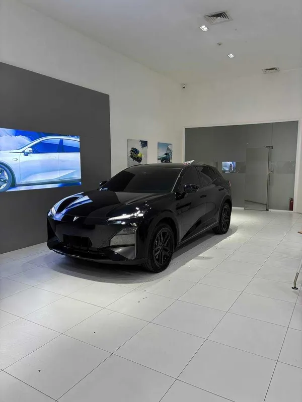 Minimal foizlar bilan kredit va muddatli to'lovga Deepal S7&S07 Hybrid — фото 6