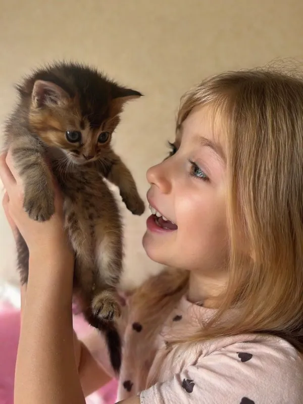Котёнком Mushukcha