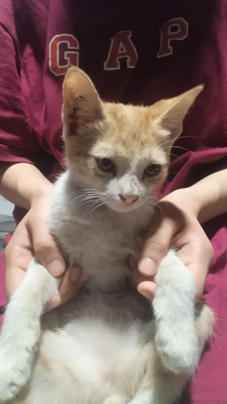 iltimos yaxshi boqadigonlar murojaat qilsin 1 iltimos yaxshi boqadigonlar murojaat qilsin 1