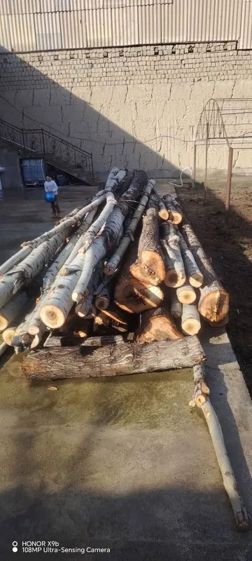 Болол сотилади 30 дона — фото 3