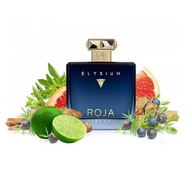 Roja Elysium Pour Homme, Парфюмерная вода произведено в Турции, 100 мл — фото 4
