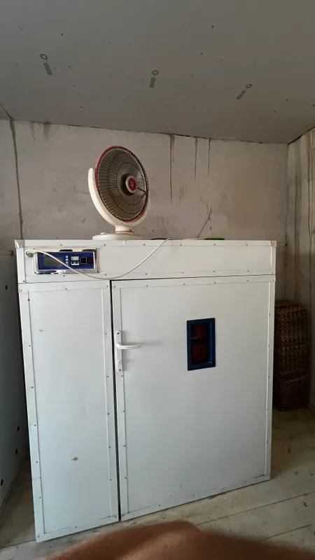 inkubator 1056 talik xitoy oxirgi aparati 4 inkubator 1056 talik xitoy oxirgi aparati 4
