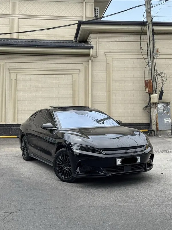Byd Han 2024 yil