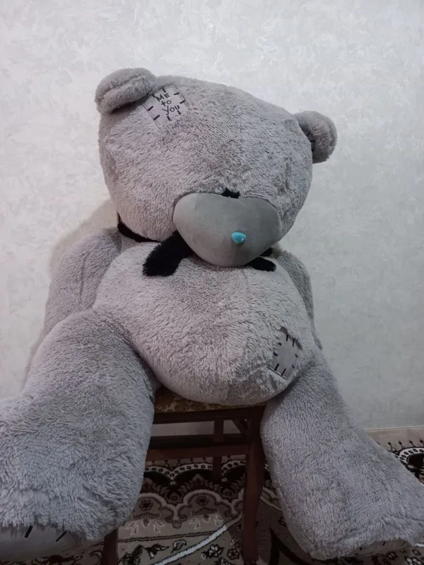 . Teddy ayiq