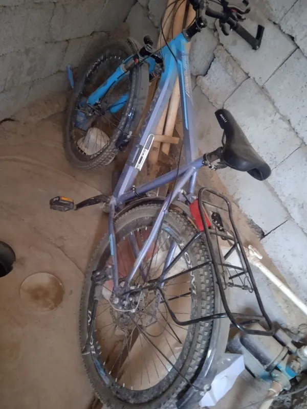 Velik sotiladi holati yaxshi Bonvi