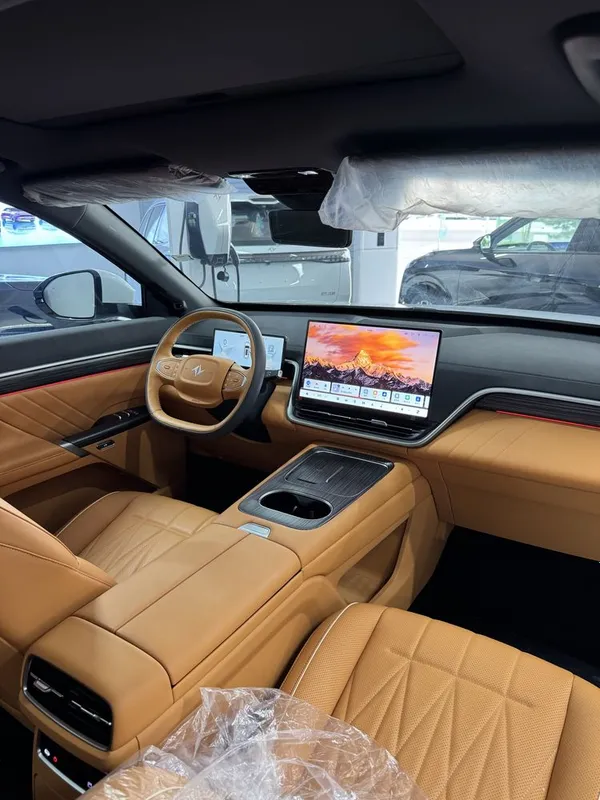 dongfeng ep008 2 каторли 2025 5