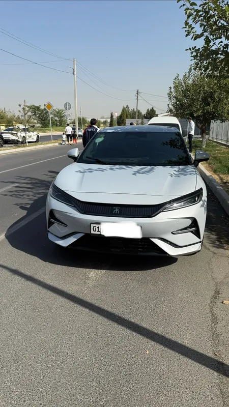 BYD SONG L 2025 ( 5 poz)