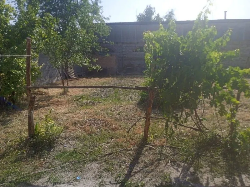 Занги отада дала ховли сотилади — фото 4