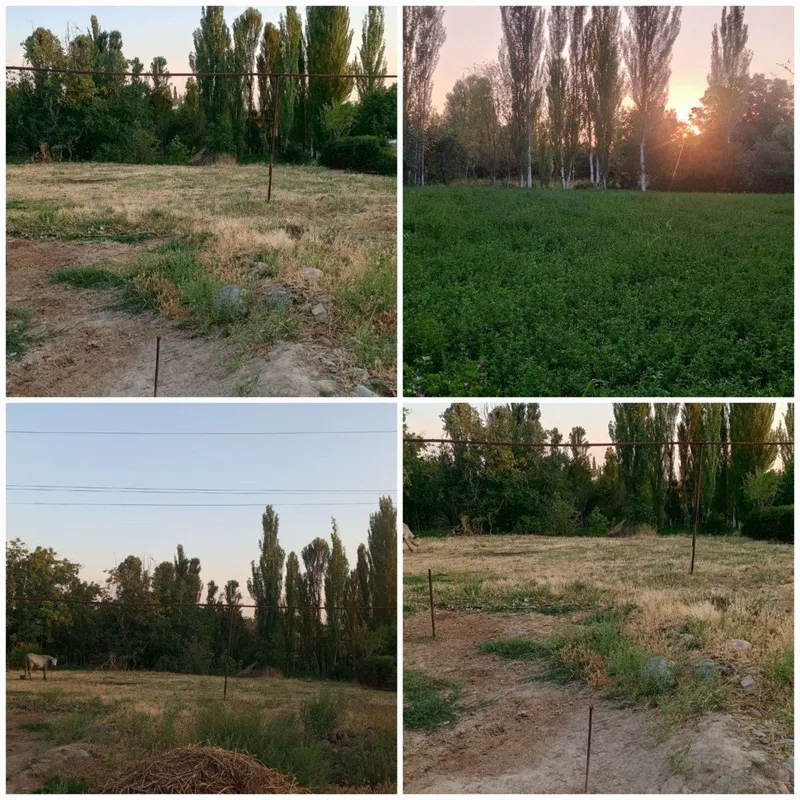 Юқори Чирчик тумани (Жамбул) махаласида yer сотилади!