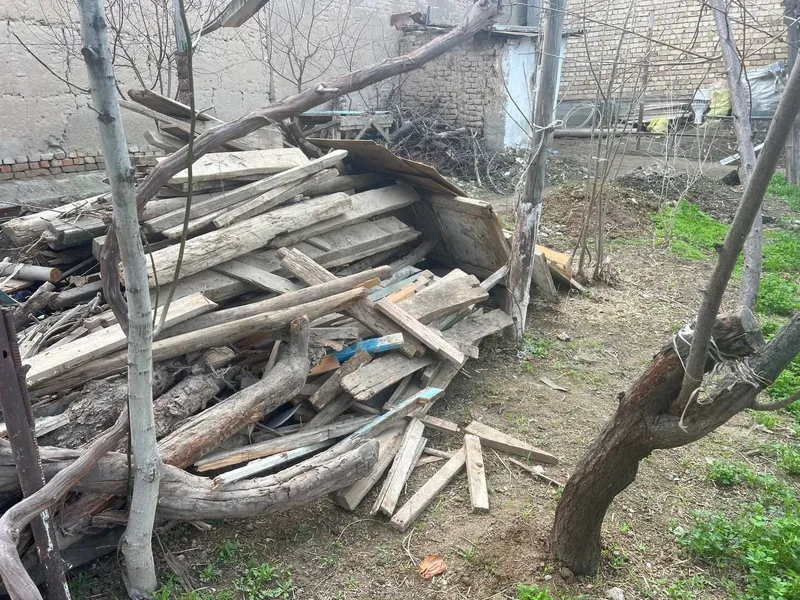 дрова 1