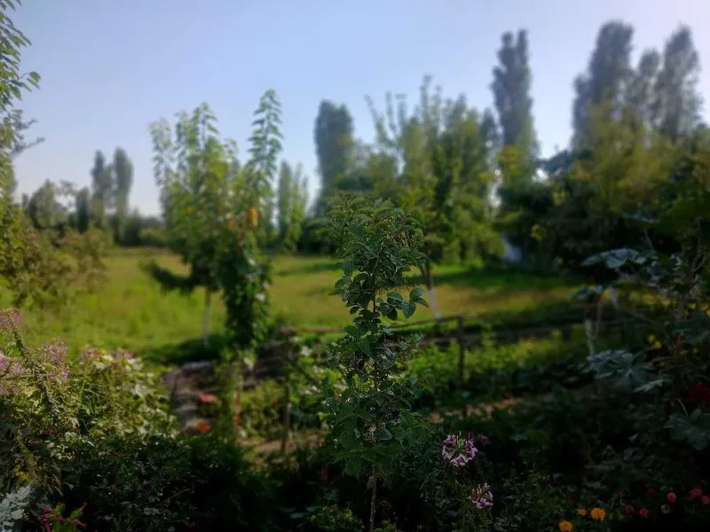 Диккат уй сотилади — фото 7