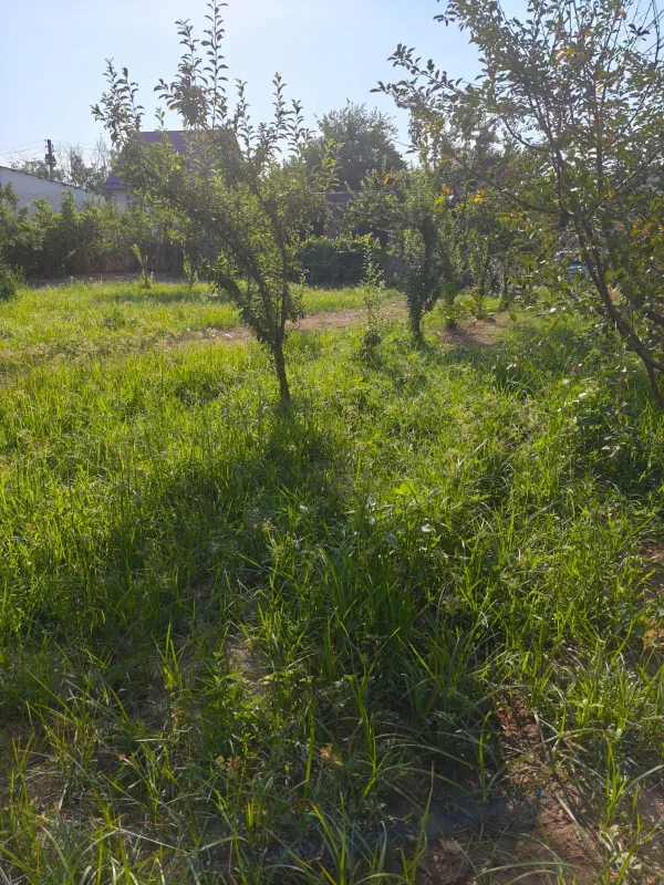 Продам дачный участок 6 соток между Тойтепа и Пскентом 1 Продам дачный участок 6 соток между Тойтепа и Пскентом 1