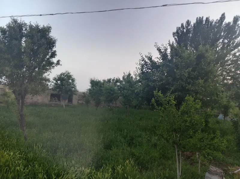 Uy sotiladi suv gaz svet bor — фото 4