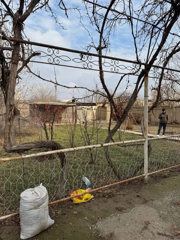Дача сотилади (Dacha sotiladi) — фото 3
