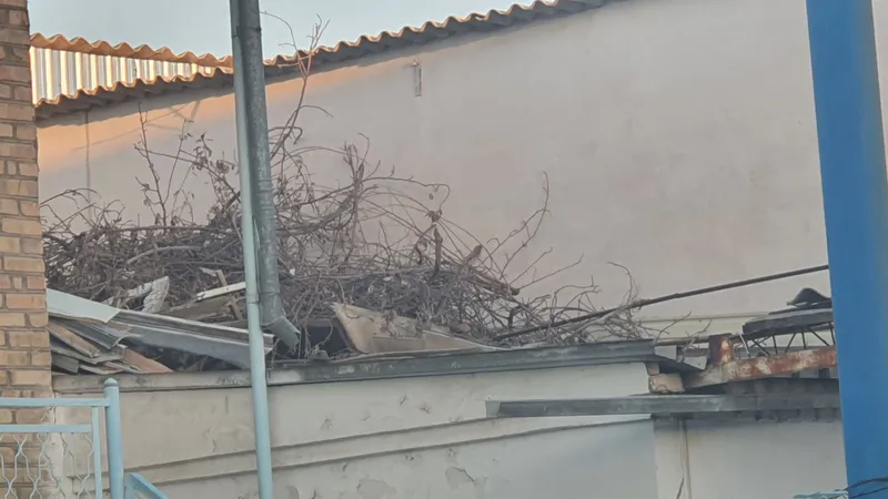 O'tinlar sotiladi 2 O'tinlar sotiladi 2