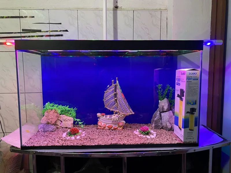 yangi akvarium komplek,