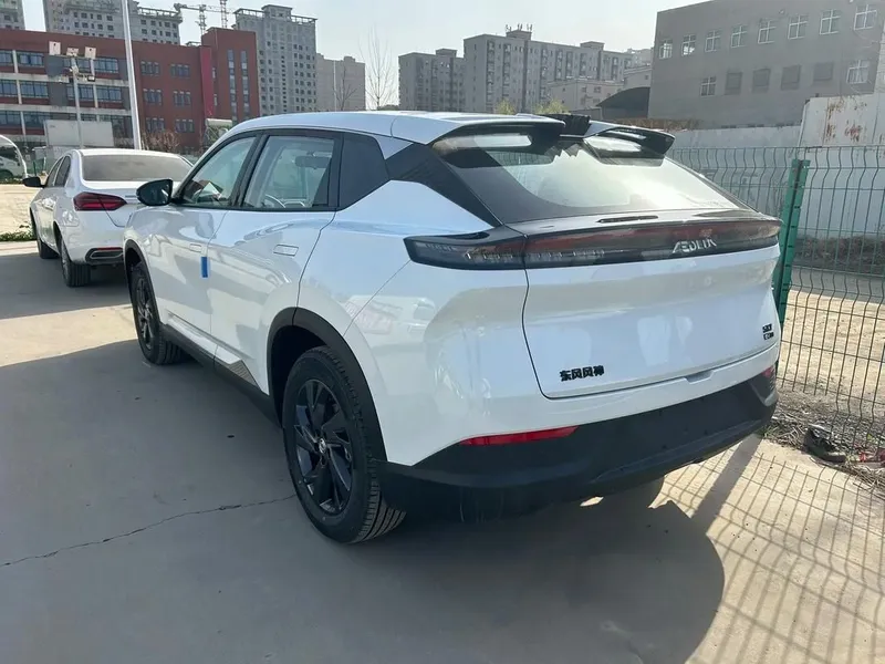 Dongfeng Sky EV01 3 Dongfeng Sky EV01 3