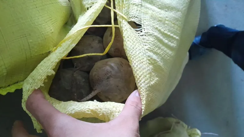 Lavlagi 9tonna yuvilmagan 2 Lavlagi 9tonna yuvilmagan 2