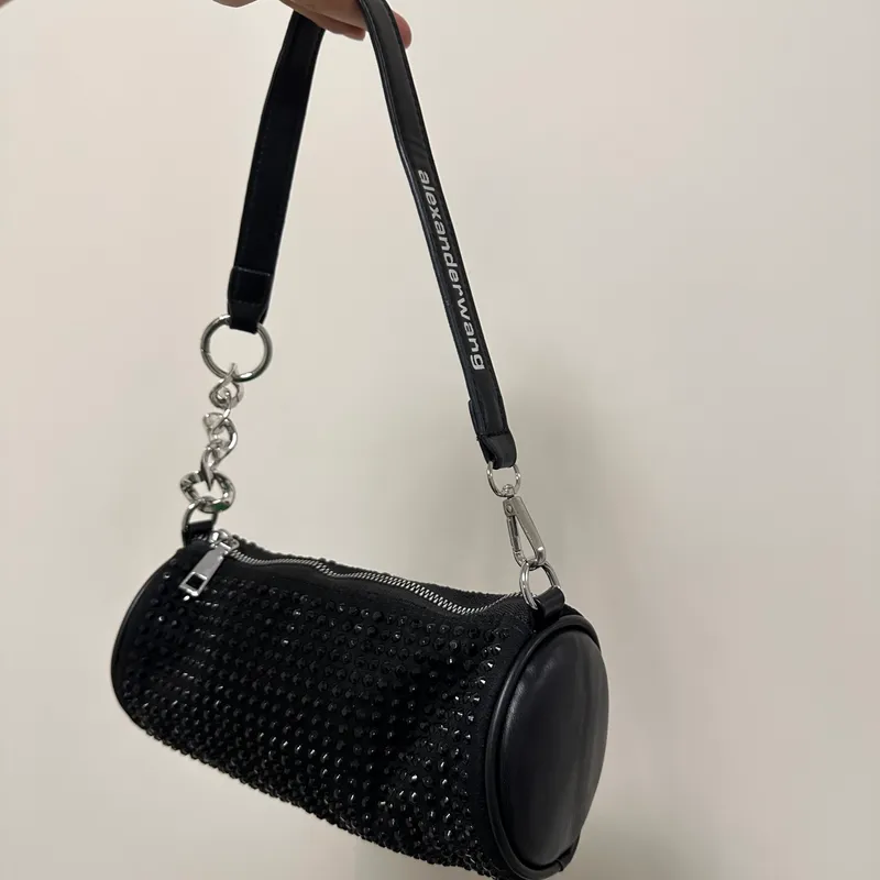 Yangi Alexander Wang sumkasi 1 Yangi Alexander Wang sumkasi 1