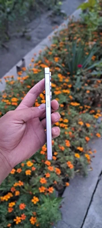 S23 narxida Samsung galaxy s24 fe 1 S23 narxida Samsung galaxy s24 fe 1
