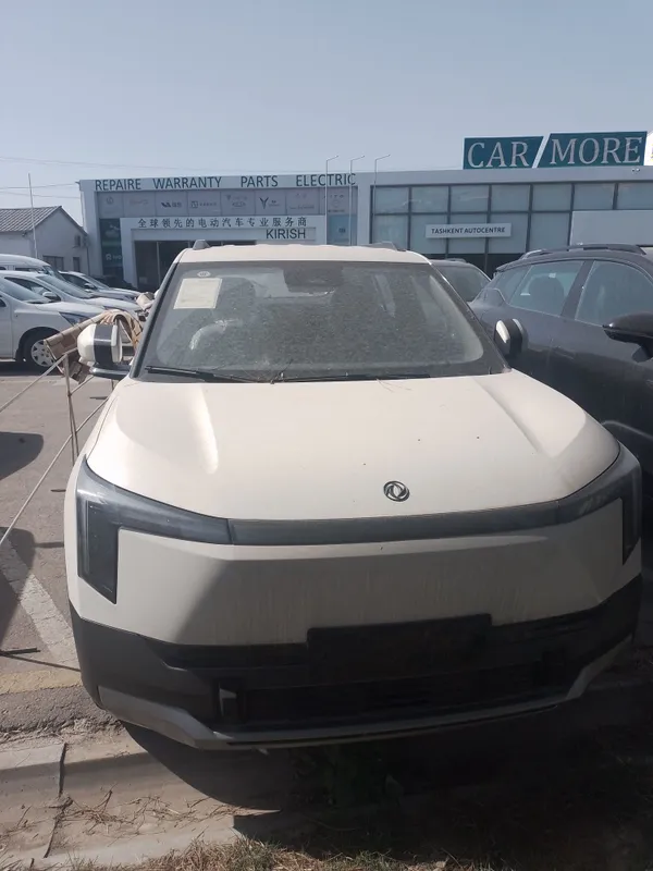 Dongfeng NAMMI 06 Bezprobeg 1