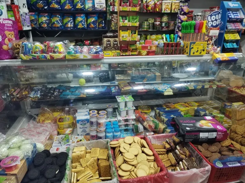 Vetrini xaladelnik 4