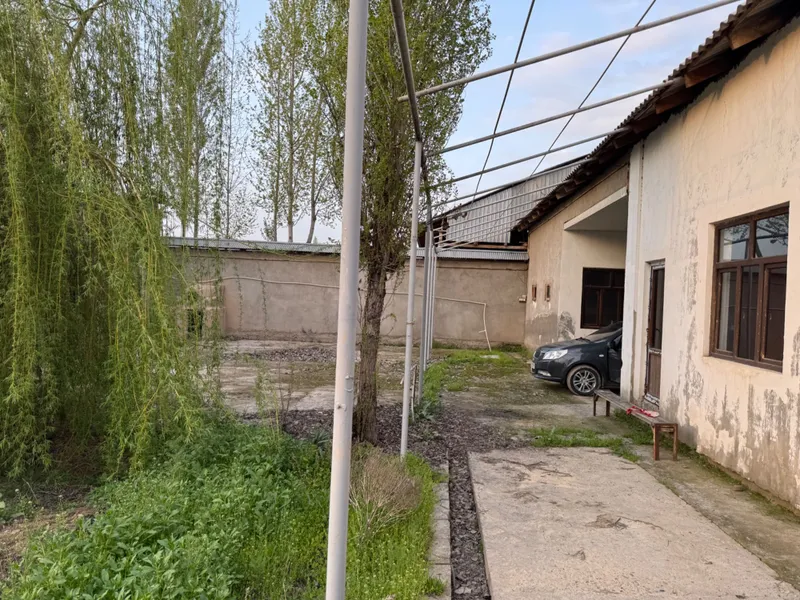 Yangiyolda 20 sotik ferma sotiladi hama sharoit bor — фото 4