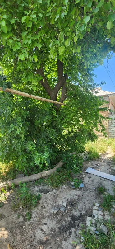 Ховли ижарага берилади — фото 3