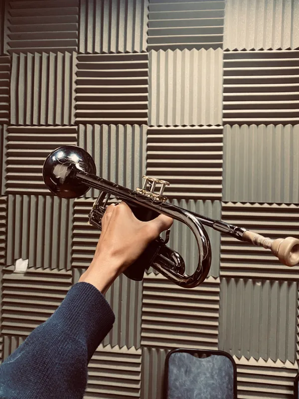 black trumpet 1 black trumpet 1