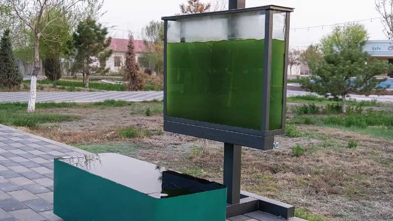EcoSeat - ekologik o’rindiq