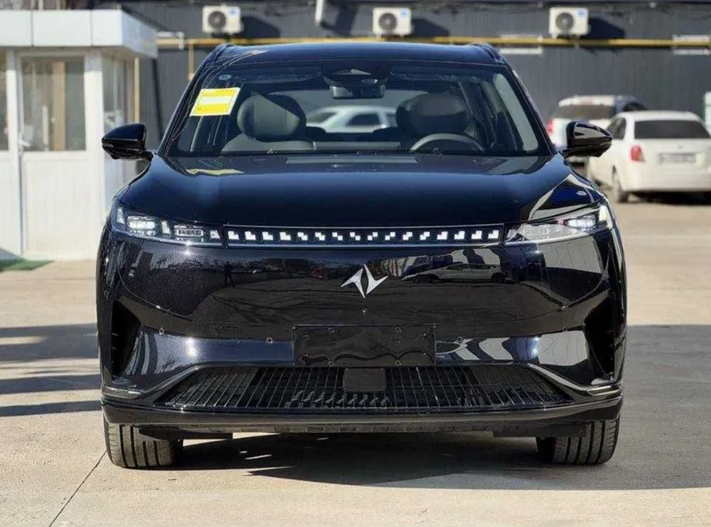 Dongfeng 008 gibrid