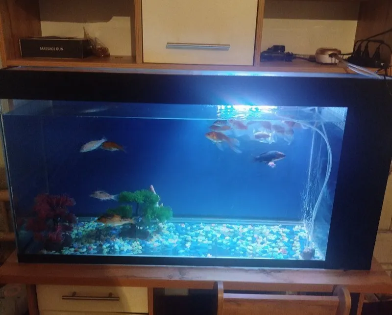 akvarium komplekt stol podstavkasi bilan 2 qavatli