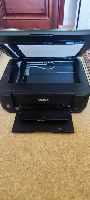 Принтер, Canon pixma MX394 2