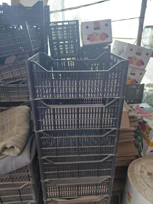 Plasmas setkalar sotiladi