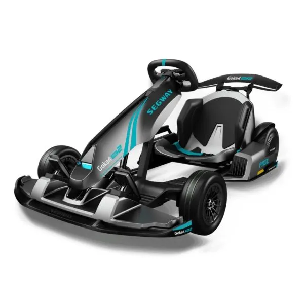 Seagway Gokart Pro2