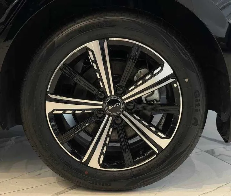 BYD CHazor Active 55km — фото 3