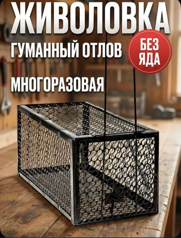 Kalamush qopqon Мышеволька — фото 1