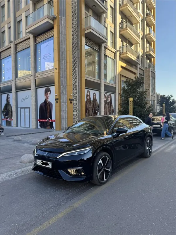 Byd song L 2024 yil 3 Byd song L 2024 yil 3