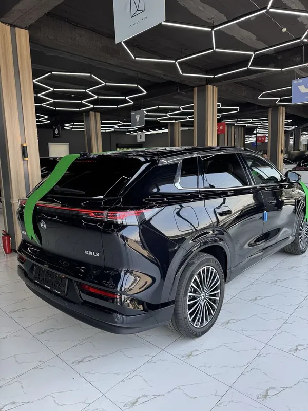 Dongfeng Aeolus L8 — фото 3