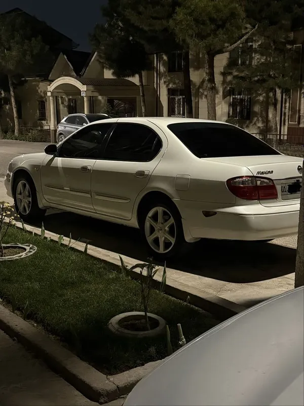 Nissan maxima ishqibozlari uchun dodasi — фото 4