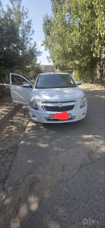 Cobalt 23 Yil oq Rangi Kraska toza 2 Cobalt 23 Yil oq Rangi Kraska toza 2