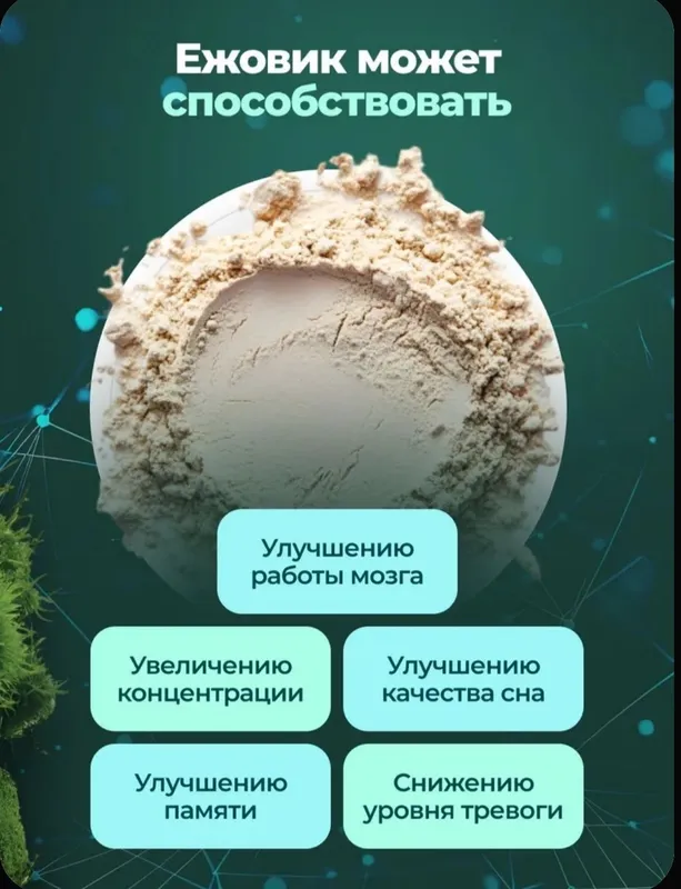 Ежовик гребенчатый мицелий / Lions mane 100гр - 100 порций от MYCOFARM — фото 1